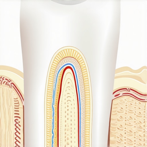 Cross-section of a tooth showing enamel layers and potential abrasion damage.
